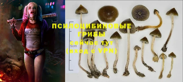 первитин Надым