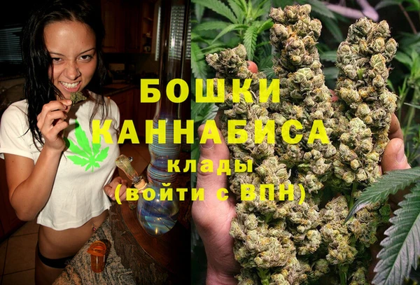 хмурый Нефтекумск